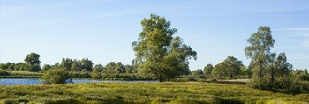 Белорусское сафари - 1. Экскурсионный тур - приключение. Беларусь.